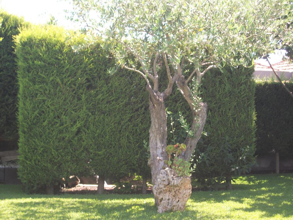Bed and Breakfast Etma SantʼAlfio Zewnętrze zdjęcie